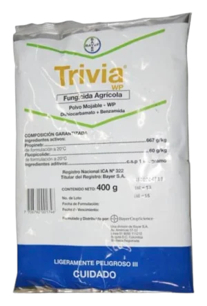 Trivia X 400GMS (FU)