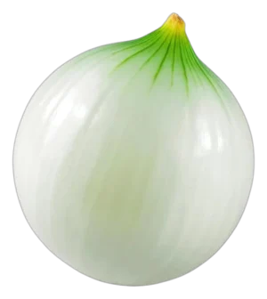 Cebolla