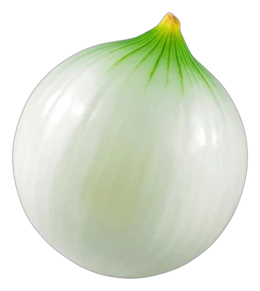 Cebolla